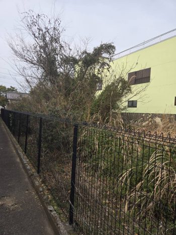 静岡県東部　三島市　伐採