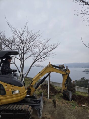 静岡県熱海市　熱海城　桜の伐採